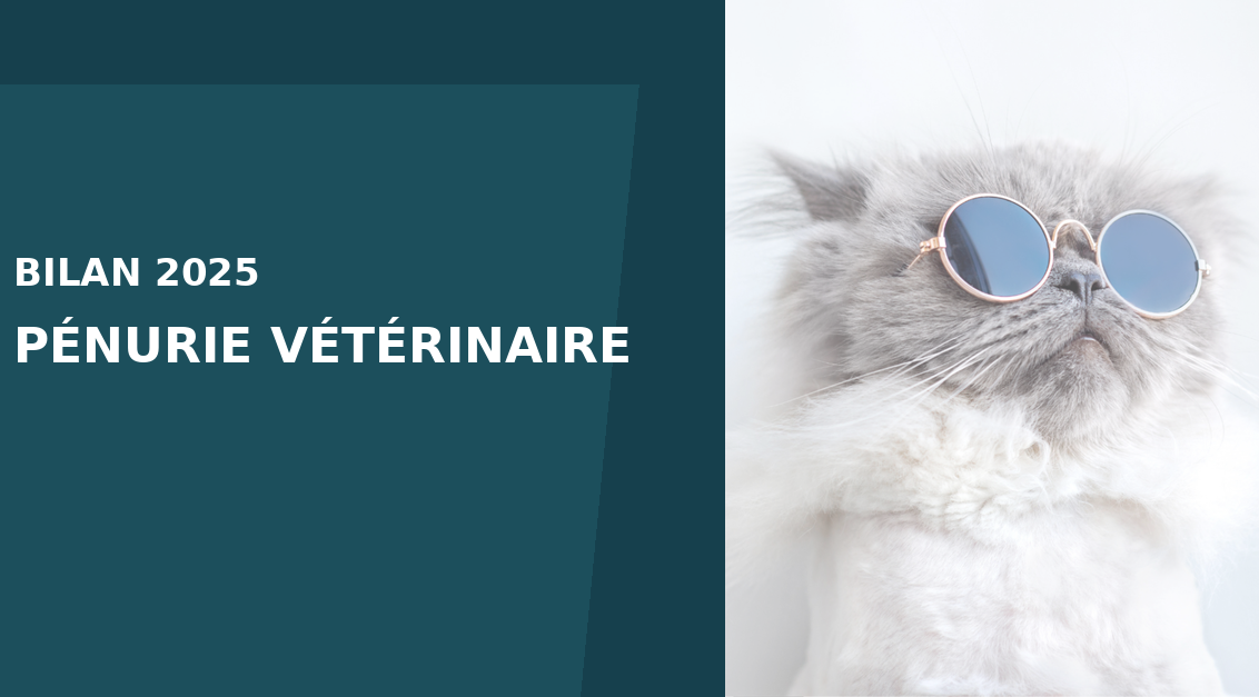 Pénurie vétérinaire : 5 leçons de 2025 pour mieux planifier 2026