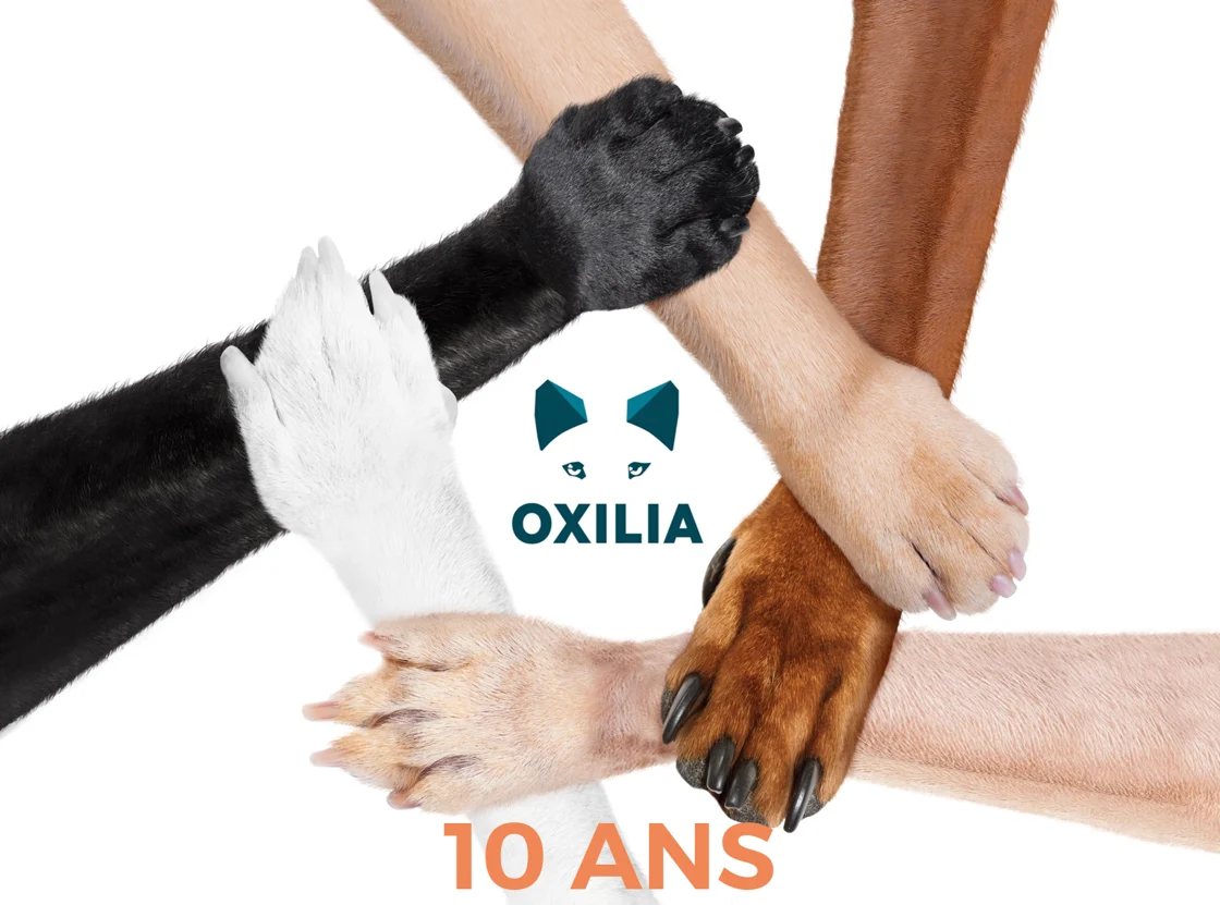 Oxilia fête ses 10 ans.